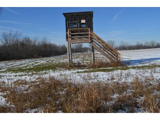 54.7 Acres with 50 tillable and 4.3 wooded.  Surrounded by heavy deer population on CRP land.  Great trophy deer hunting on established food plots.  Hunting tower.

Receive income on tillable acres while abundance of deer hunting on established food plot. - Great Investment Opportunity - Tillable Land, Recreation & Building Site